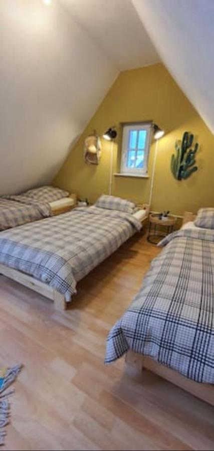 Geraeumige Wohnungen Zentrumsnah Schwandorf Buitenkant foto
